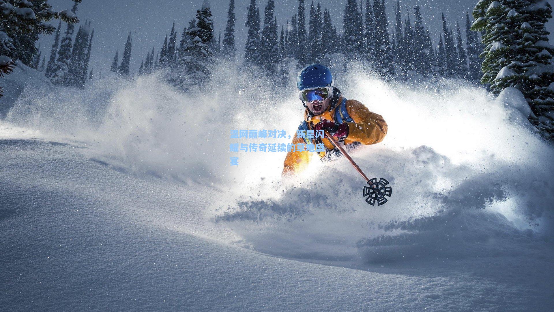 温网巅峰对决，新星闪耀与传奇延续的草地盛宴